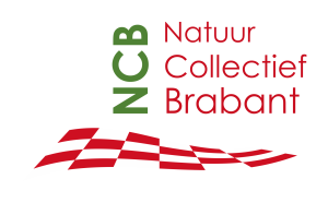 Brabant-shade