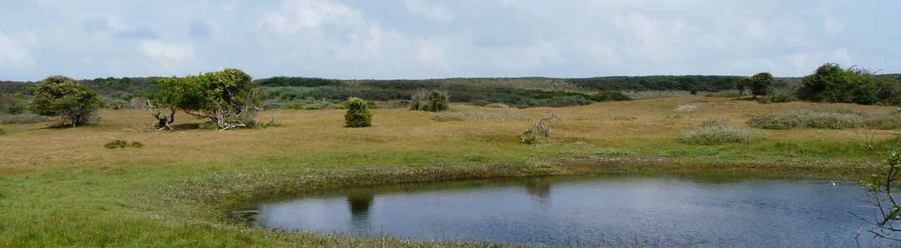 natuurcollectief Zeeland