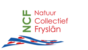NC Fryslân